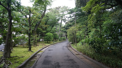 Obraz premium 庭園への道