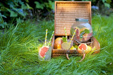 Preparation of lemonade. summer lemonade in a summer garden