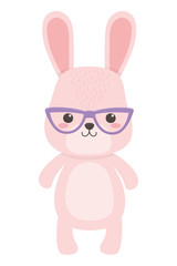 Rabbit cartoon with glasses design