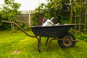 The watering can family