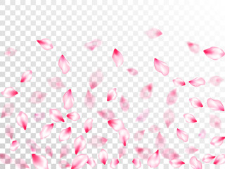 Fototapeta na wymiar Pink sakura petals confetti flying and falling