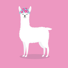 Vector flat cartoon cute white llama with flowers isolated on pink background