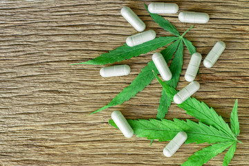 Cannabis(Drugs) marijuana leaf with capsule pill for healthy in medicine.