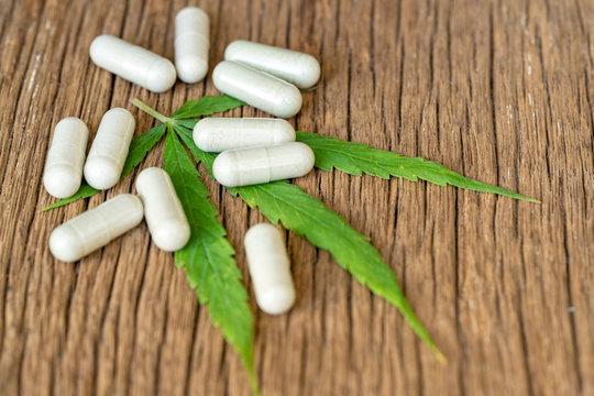 Cannabis(Drugs) marijuana leaf with capsule pill for healthy in medicine.