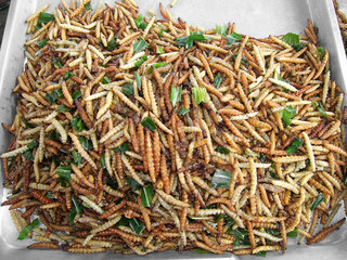 Fried caterpillars for sale as snack by street vendor in Chatuchak Weekend Market, Bangkok, Thailand 