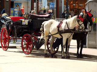 Carriage in Austria