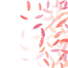 Flying feather elements airy vector design.