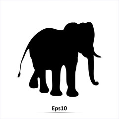 Elephant icon. Vector Illustration. EPS10