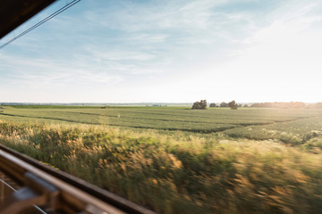 View from the train window overlooking the field and on the blue sky on a sunny summer day.