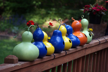 A row of colored bird house gourds