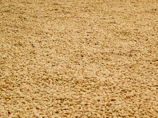 Paisaje Cultural Cafetero en Manizales Caldas _ Colombia