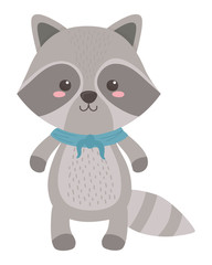 Raccoon cartoon design vector illustrator