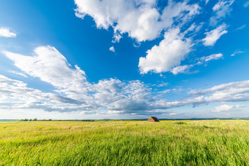 freshly bales of hay on autumn field with white clouds in blue sky © photollurg