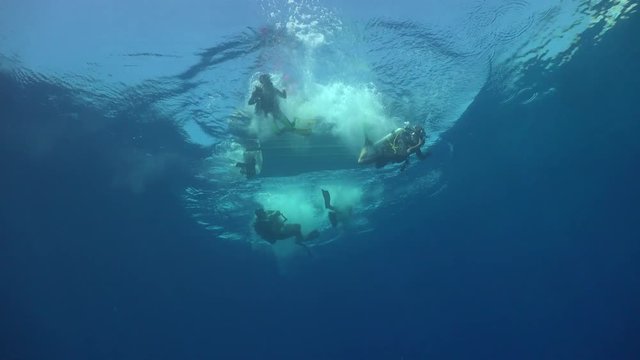 Tubbataha Reef/ Philippines/ 08.08.2019  4 divers jump from the zodiac into the water and meet the whale shark immediately. The camera shoots from the bottom. You can see the driver of the boat