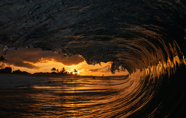 early riser