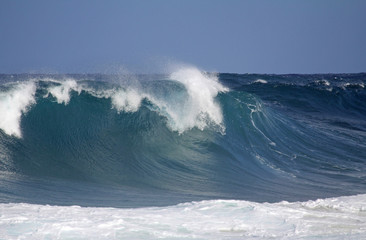 Pipe wave - Hawaii