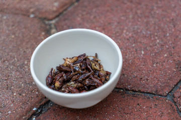 Chaplines; english trancelation is 