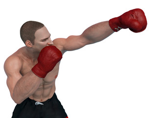 Fototapeta na wymiar boxer cartoon right attack in a white background