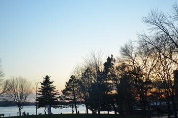 Sunset behind the trees with Toronto's bay in the background