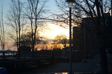 Sunset behind the trees with Toronto's bay in the background