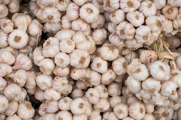 Garlic texture background.