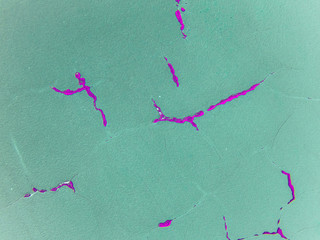 Cracks and highlight color Hot Magenta, shade of red. The background is the main color of Tradewind, a shade of green. Peeling paint, swelling, scratches, roughness.