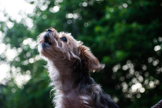 Lauryn Allen 写真、画像、アセット | Adobe Stock
