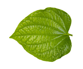 Fototapeta na wymiar Green betel leaf with clipping path isolated on white background