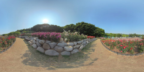 Ansan, South Korea - 12 June 2019. Panorama 360 degree view in park. Forest and Park 360 image, VR...