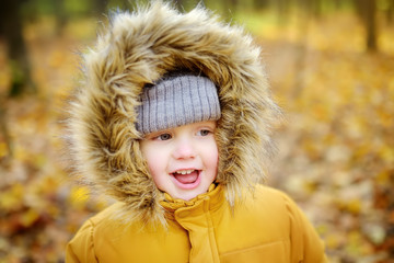 Fototapeta premium Little boy during stroll in the forest at cold sunny autumn day