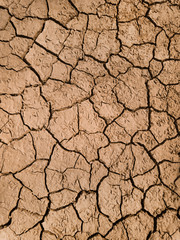 Dry cracked ground filling the frame as background