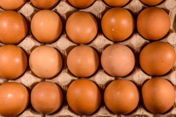 Pile of the hen eggs in paper tray on wooden table. Top view