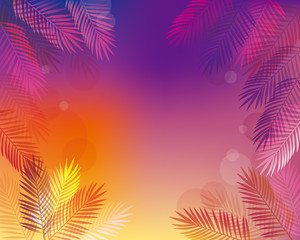 Fototapeta na wymiar background of Palm leaves