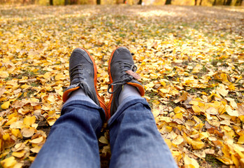 Autumn theme. Fragment of legs in jeans and colors on the ground with yellow leaves on a sunny day. Cropped shot, horizontal, free space, side view, background. Concept of seasons and natural beauty
