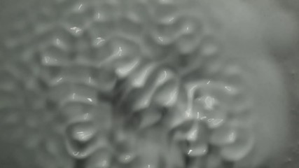 A no newtonian fluid starts to move in an petri dish. It forms different patterns and stops after a while and returns to a smooth surface state.