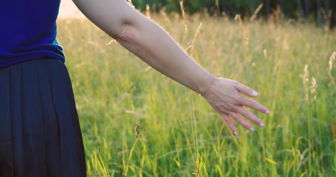 Woman walks through summer field - Strokes her hand over flowers - Slow Motion