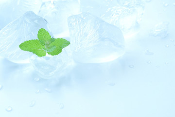 氷　ミントの葉 © tamayura39