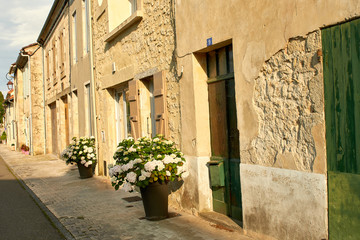 Fototapeta na wymiar Ruelle de village fleurit, maisons anciennes
