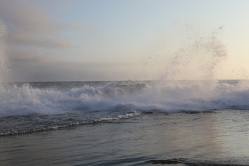 Venice Beach CA