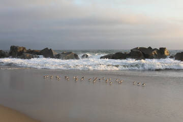 Venice Beach CA