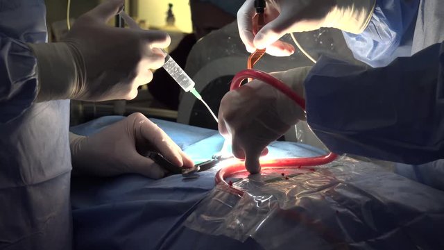 Spinal disc herniation is an injury to the cushioning and connective tissue between vertebrae, usually caused by excessive strain or trauma to the spine.