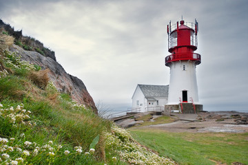 Fototapeta na wymiar Norway landscape south lighthouse Lindesnes fyr with flowers on the rocky shore of the northern sea in cloudy weather in spring 