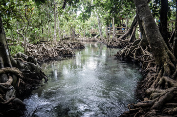 Beautiful natural and river astonishing verdant forest in Thailand