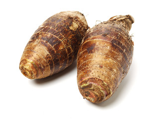 Taro on a white background