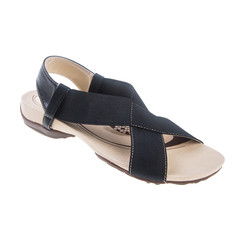 shoe or woman shoe on a background new.