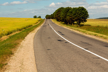Old asphalt road with trees on the side of the road leading through the fields to the horizon