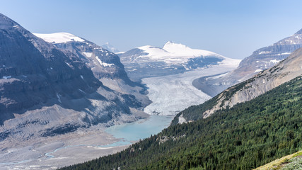 Athabasca Glacier / Gletscher