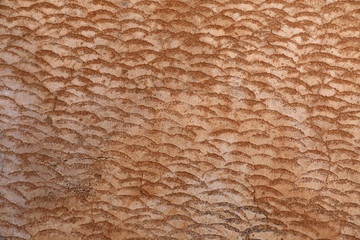 Hintergrund Wand mit Fischgräten Muster