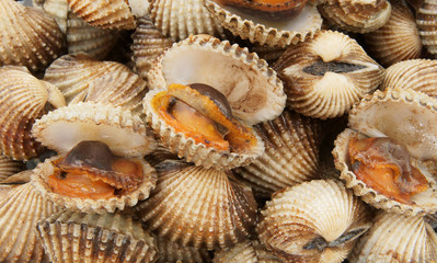 Fried cockles as seafood background