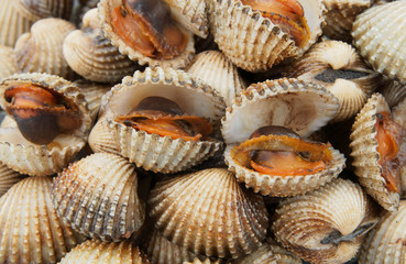 Fried cockles background